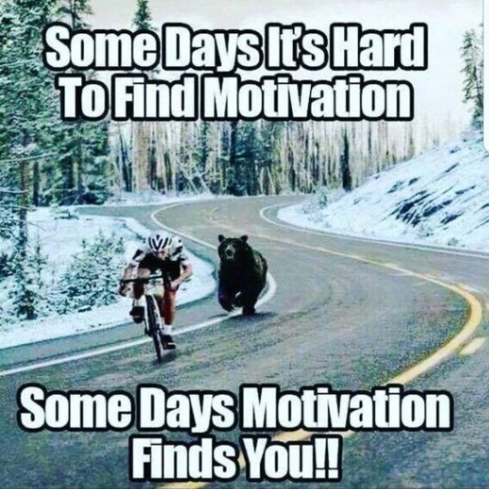 https://blossom.smartflow.social/98979f773e5c9fbe01d90f734e803213810e2722cbaa18c18998128078af3dc8.jpg